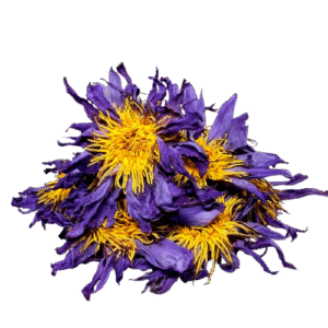 Dried Blue Lotus Whole Flowers (Nymphaea caerulea) 100% Ceylon Organic | Herbal Tea / Smoke / Whole Flowers | 20g – 30kg - Ceylon Lotus Mart