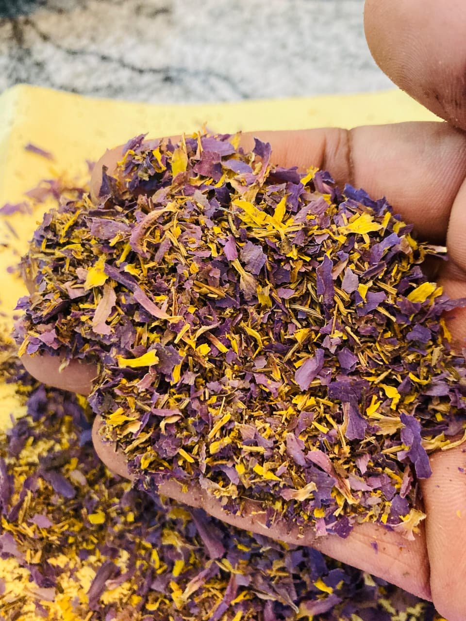 Dried Blue Lotus Flower Smoke Cut (Nymphaea caerulea)