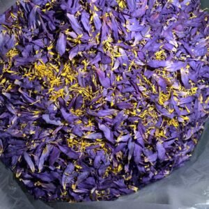 Dried Blue Lotus Flower Stamens & Petals Mix (Nymphaea caerulea)