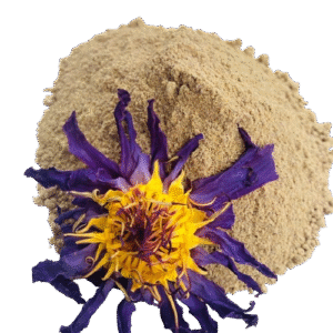 Dried Blue Lotus Flower Powder (Nymphaea caerulea) 100% Ceylon Organic | Herbal Tea / Smoke / Powder | 20g – 30kg - Ceylon Lotus Mart