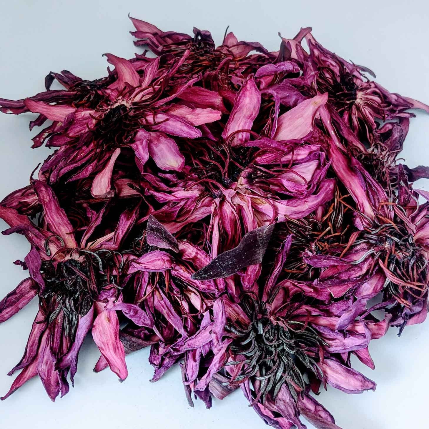 Dried Red Water Lily Whole Flowers (Nymphaea rubra) 100% Ceylon Organic | Herbal Tea / Smoke / Whole Flowers | 20g – 30kg - Ceylon Lotus Mart