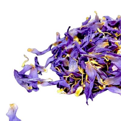Dried Blue Lotus Flower Stamens & Petals Mix (Nymphaea caerulea) 100% Ceylon Organic | Herbal Tea / Smoke / Stamens & Petals Mix | 20g – 30kg - Ceylon Lotus Mart - Image 2