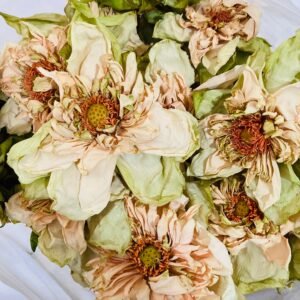 Dried White Lotus Whole Flowers (Nelumbo nucifera) 100% Ceylon Organic | Herbal Tea / Smoke / Whole Flowers | 20g – 30kg - Ceylon Lotus Mart (Copy)