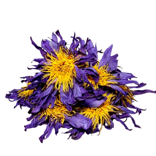 Ebay_Post-removebg-preview