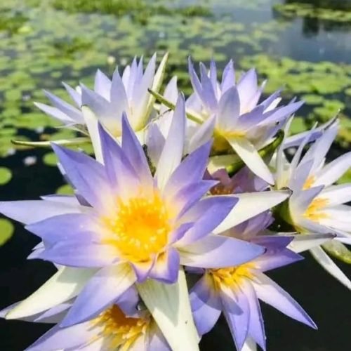 WhatsApp Image 2025-11-02 at 13.36.47_aace73f3