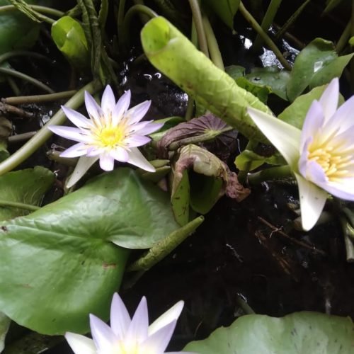 WhatsApp Image 2025-11-08 at 23.26.56_4184609e