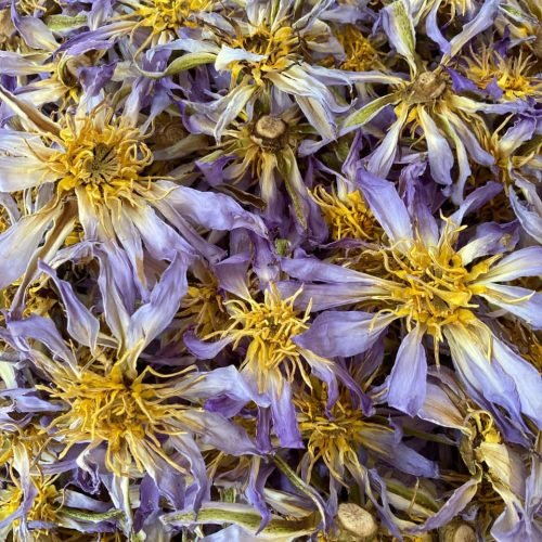 WhatsApp Image 2025-11-08 at 23.27.00_d0c1e056