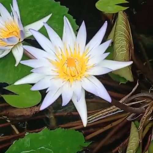 WhatsApp Image 2025-11-08 at 23.27.01_7b5fb6f3