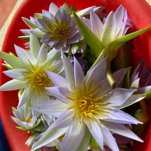 WhatsApp Image 2025-11-08 at 23.27.03_0310e75b