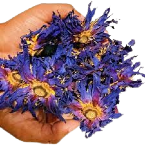 images__5_-removebg-preview (1)