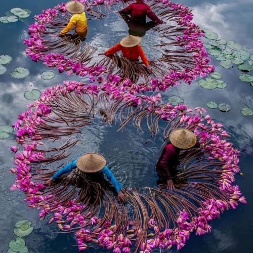 travelturtlemag_1688361301_3138524529157544538_31275847846